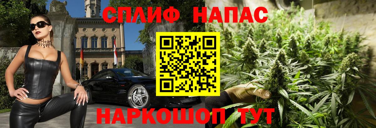 Конопля план  МАРИХУАНА MAZAR  Каннабис сатива  Вход с VPN  Бошки Шишки White Widow  Новоалександровск 